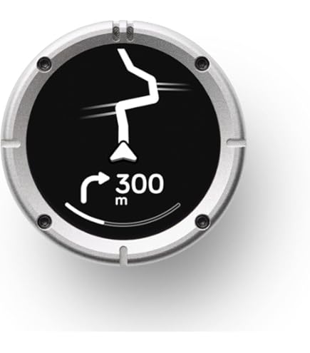 ビーライン Moto II ナビゲーション ガンメタ　専用キャリーケース付き ビーライン Moto II ナビゲーション ガンメタ 専用キャリーケース付き